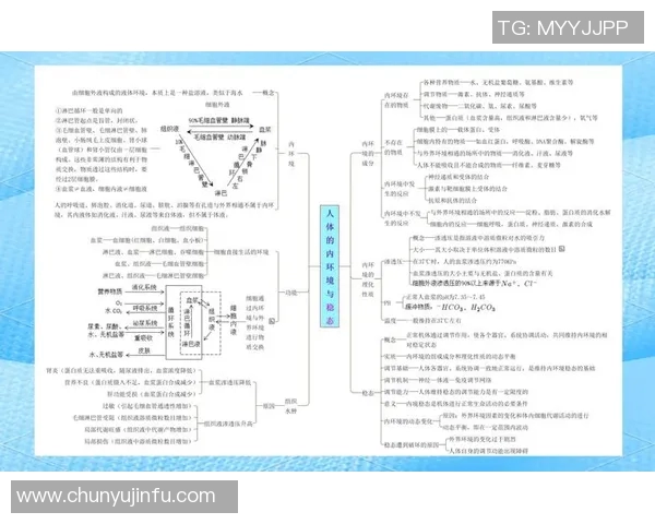 重庆篮球队边路渗透战术解析及其对比赛的影响探讨
